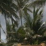 Vacation 2011 Brazil